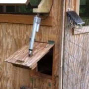 What is Good Material for a Chicken Coop Door