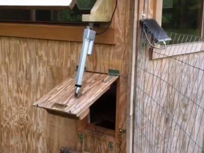 What is Good Material for a Chicken Coop Door