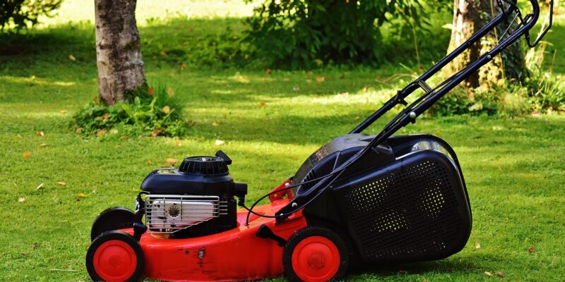 Why Shouldn't You Mow Wet Grass?