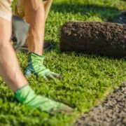 Create a Lush, Green Lawn with Expert Turf Installation in Florida