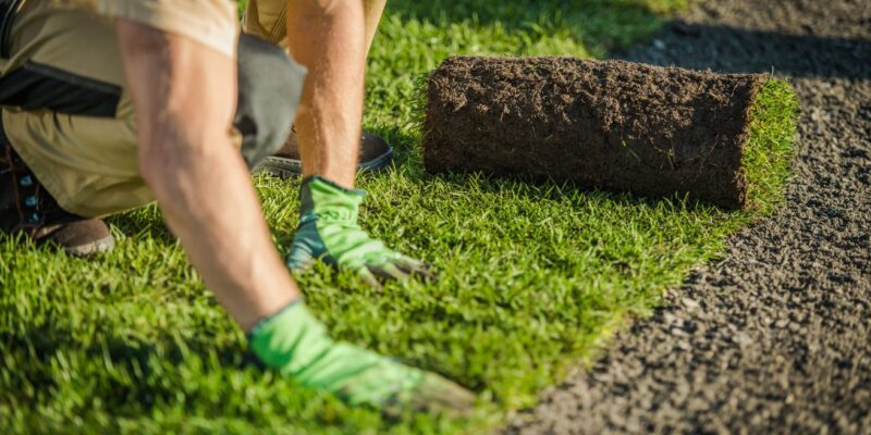 Create a Lush, Green Lawn with Expert Turf Installation in Florida